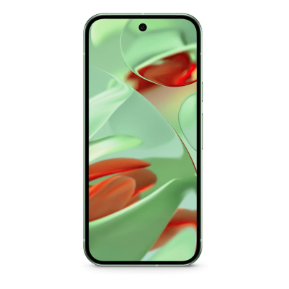 Google Pixel 9 256Gb Wintergreen, зелёный