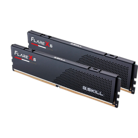 Оперативная память G.SKILL Flare X5 (F5 6000J2836G16GX2 FX5) DDR5 32GB 6000MHz CL28 UDIMM 2x16GB