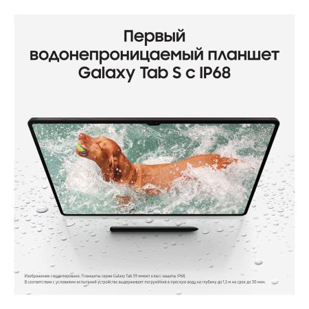 Samsung Galaxy Tab S9+ 12,4" Wi-Fi 12/512Gb Graphite, графит