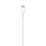 Кабель Apple Type-C - Type-C Charge Cable, 1 м Белый